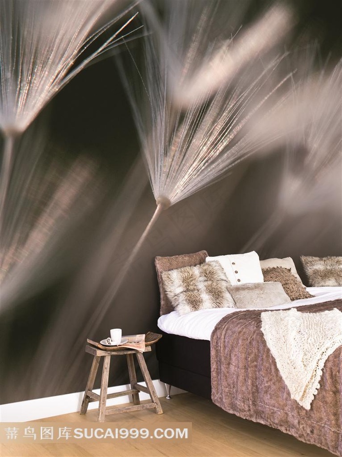 欧美室内效果图蒲公英