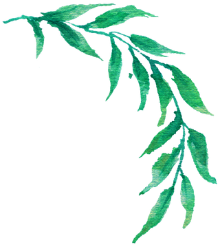 春天绿色春季水墨柳树柳条柳叶春季海报设计PNG免扣素材