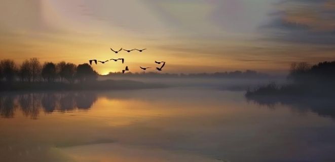 夕阳湖面倒影风光背景