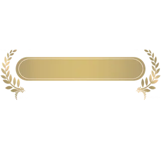 金色标题栏欧式豪华背景框