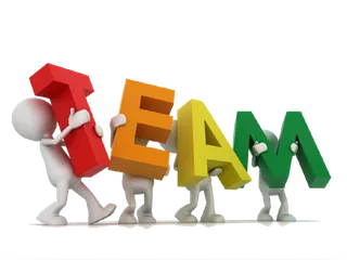 团队TEAM