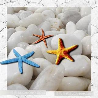 海星鹅卵石无框画设计素材