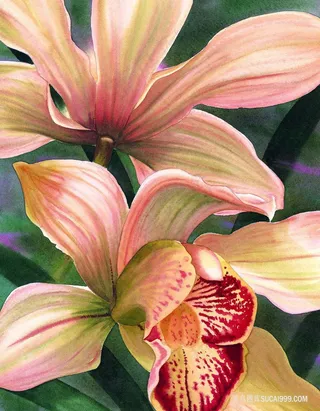 高清兰花唯美艺术油画