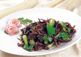 92XX019干煸黑纵菌