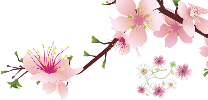 粉色装饰设计免扣素材