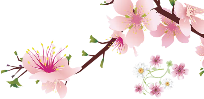 粉色装饰设计免扣素材