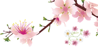 粉色装饰设计免扣素材