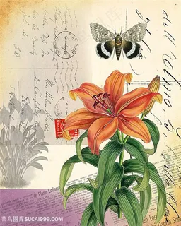 欧式花与蝴蝶装饰画 欧式花与蝴蝶装饰画