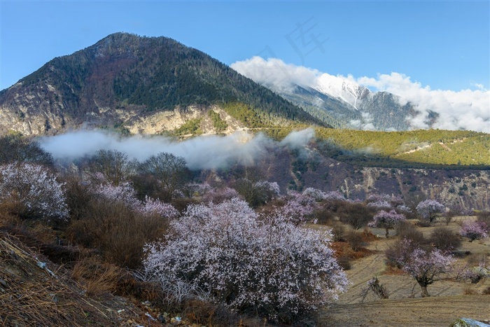 唯美风景雪山素材图片