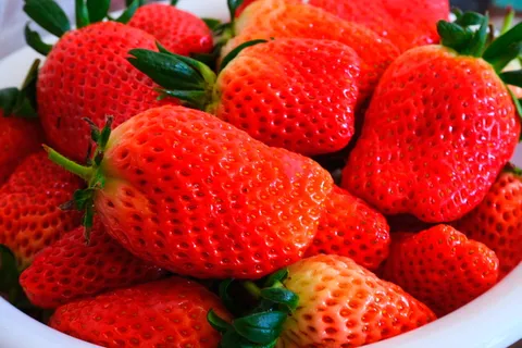 新鲜的草莓 新鲜的草莓