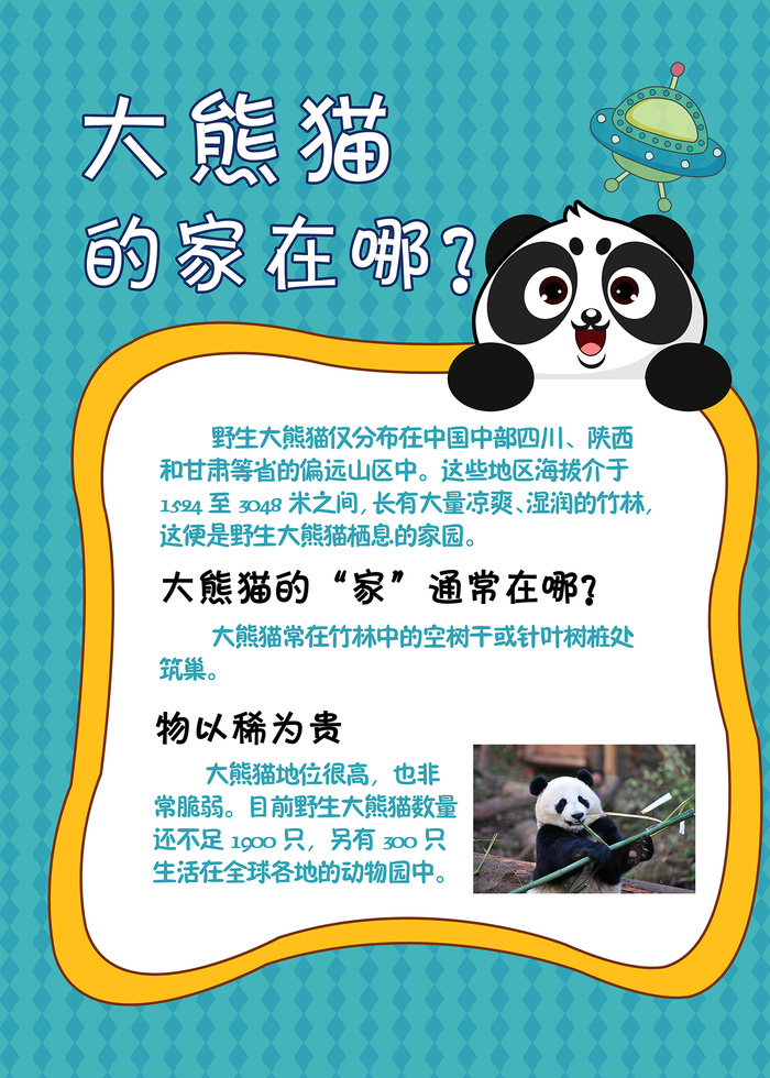 可爱的大熊猫动物科普知识海报