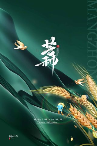 芒种 芒种营销设计