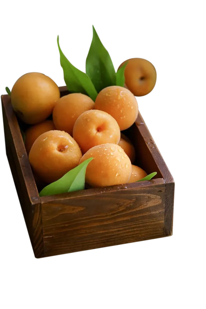 水果png-杏子素材免扣