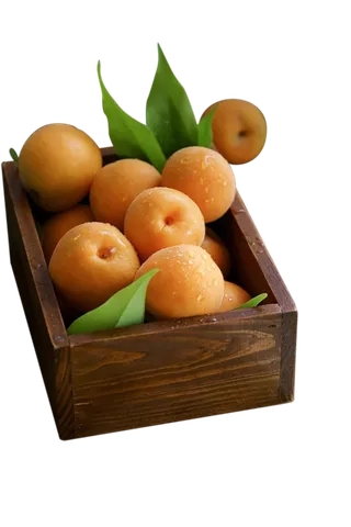 水果png-杏子素材免扣