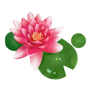 国潮中国风手绘荷花莲花荷叶莲藕植物花卉装饰插画PSD设计素材