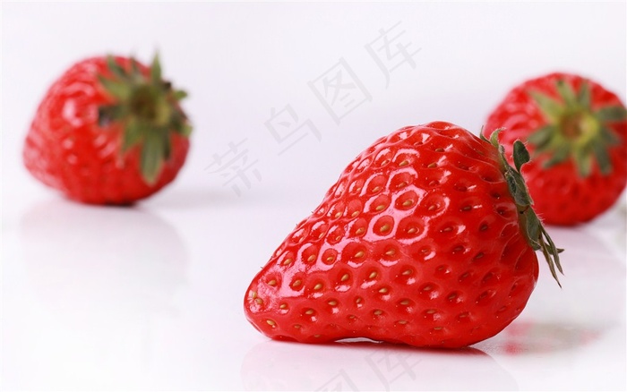 果园里摘的草莓