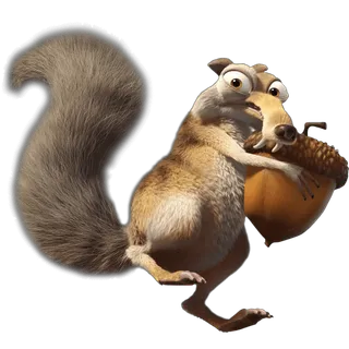 松鼠   松鼠   松鼠 松鼠   松鼠   松鼠