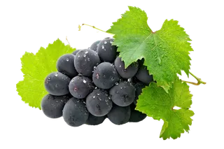 葡萄 (5)水果超市商品白底图免抠实物摄影png格式图片透明底