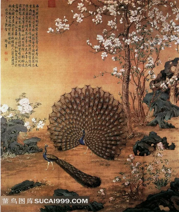 孔雀开屏绘画艺术图片
