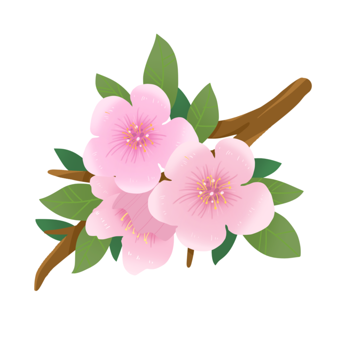 春天浪漫粉红色樱花手绘樱花梅花桃花花朵图片PNG免扣素材