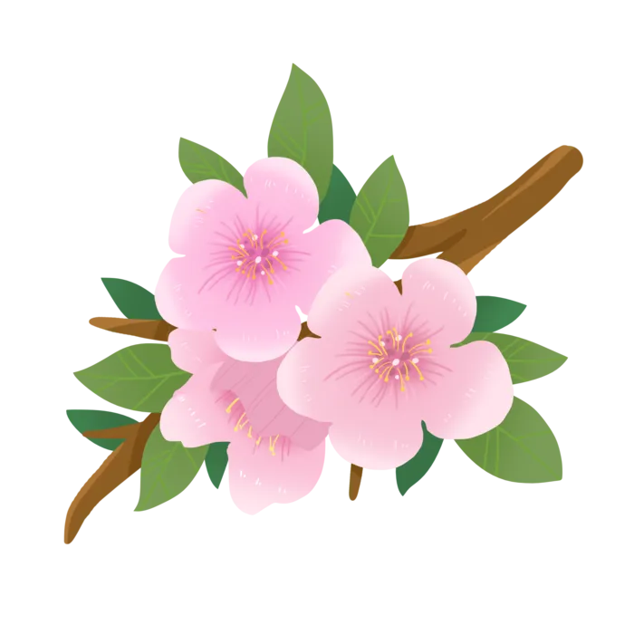 春天浪漫粉红色樱花手绘樱花梅花桃花花朵图片PNG免扣素材
