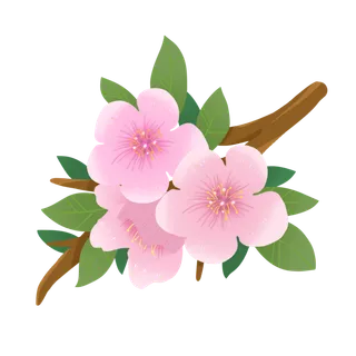 春天浪漫粉红色樱花手绘樱花梅花桃花花朵图片PNG免扣素材