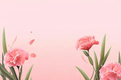 简约粉色康乃馨插画背景