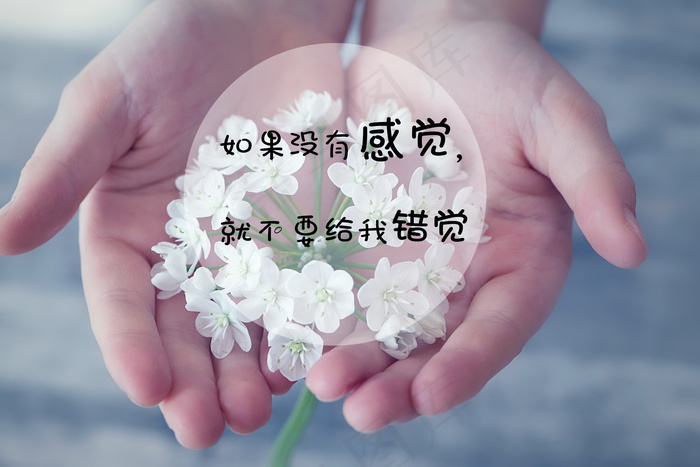 唯美文字控图片