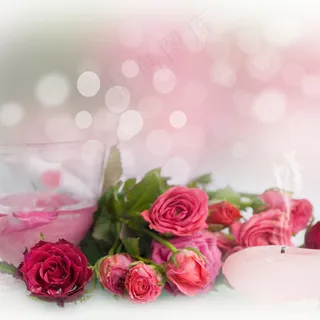 灿烂玫瑰花图片下载 灿烂玫瑰花图片下载