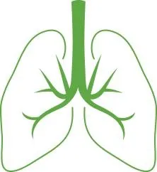 肺 PNG免抠(222x242)