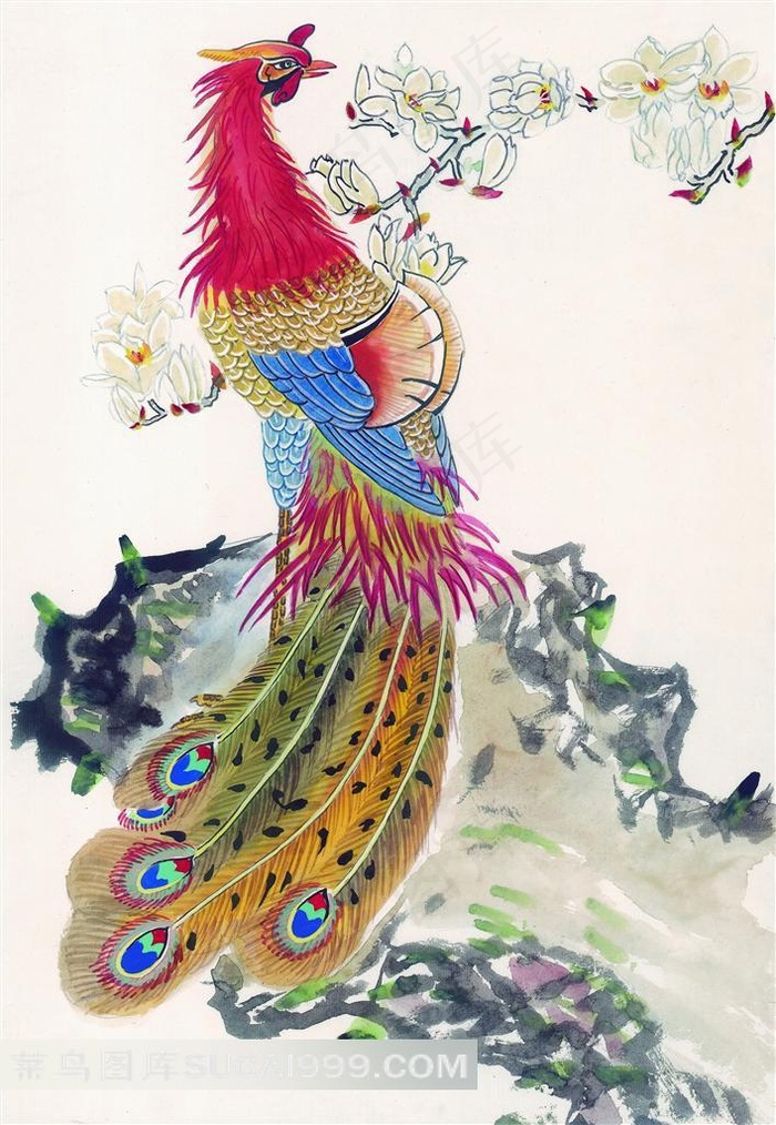 漂亮孔雀国画图片