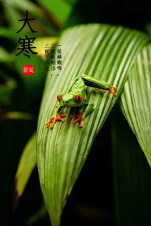 2019年立夏图片 2019年立夏图片