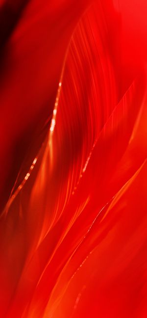 红色庄严海报背景