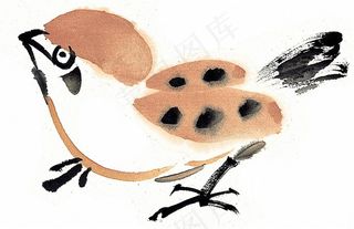 画鸟高清美图素材
