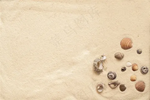 沙滩贝壳海景风景画