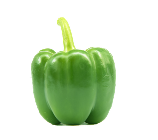 青椒 (9)超市商品白底图免抠实物摄影png格式图片透明底