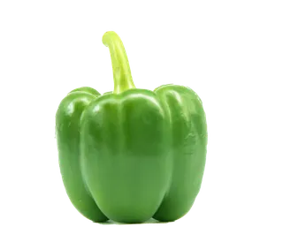 青椒 (9)超市商品白底图免抠实物摄影png格式图片透明底