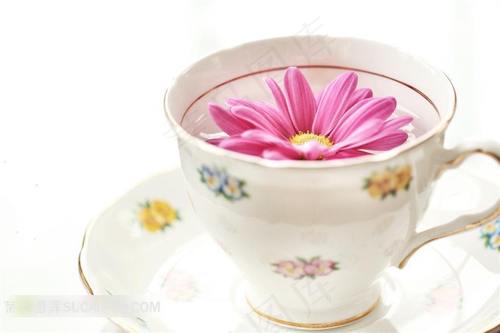 杯子里的花朵