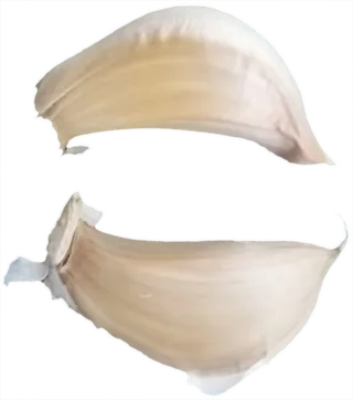 大蒜蒜瓣蒜米免抠素材