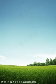 健康情境-蓝天白云下涨势茂盛的草地