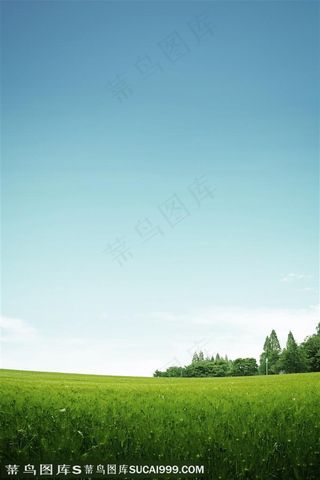 健康情境-蓝天白云下涨势茂盛的草地