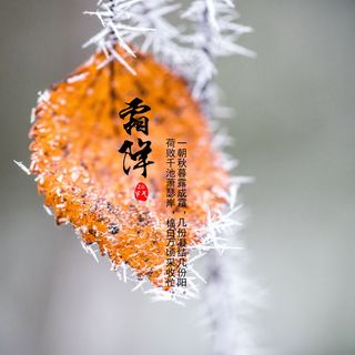 霜降诗词图片