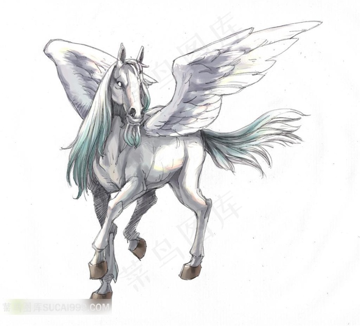 唯美健壮威武的双翅飞马手绘
