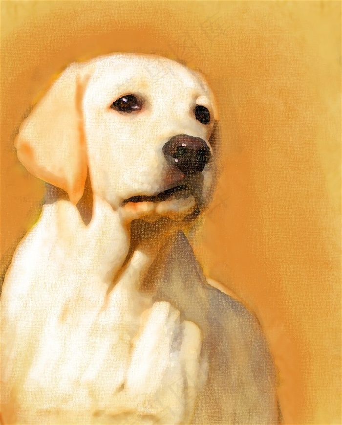黄色背景的狗狗绘画