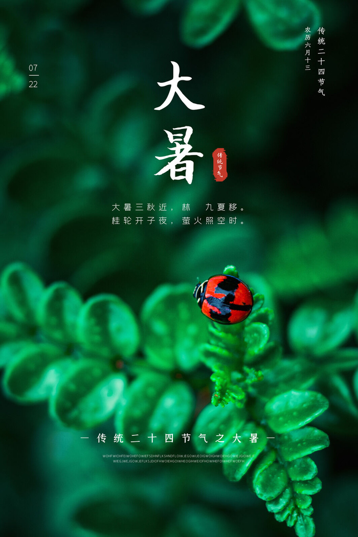 传统节气大暑海报psd模版下载