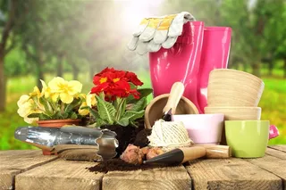 居家生活-养花的乐趣