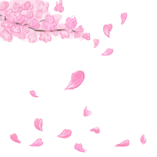 春天浪漫粉红色樱花手绘樱花梅花桃花花朵图片PNG免扣素材