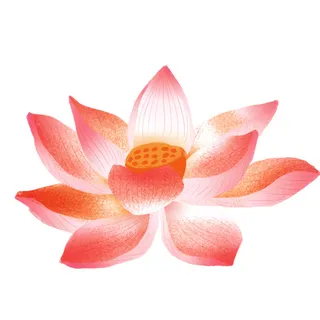 国潮中国风手绘荷花莲花荷叶莲藕植物花卉装饰插画PSD设计素材