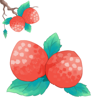 大暑节气夏季元素插画元素