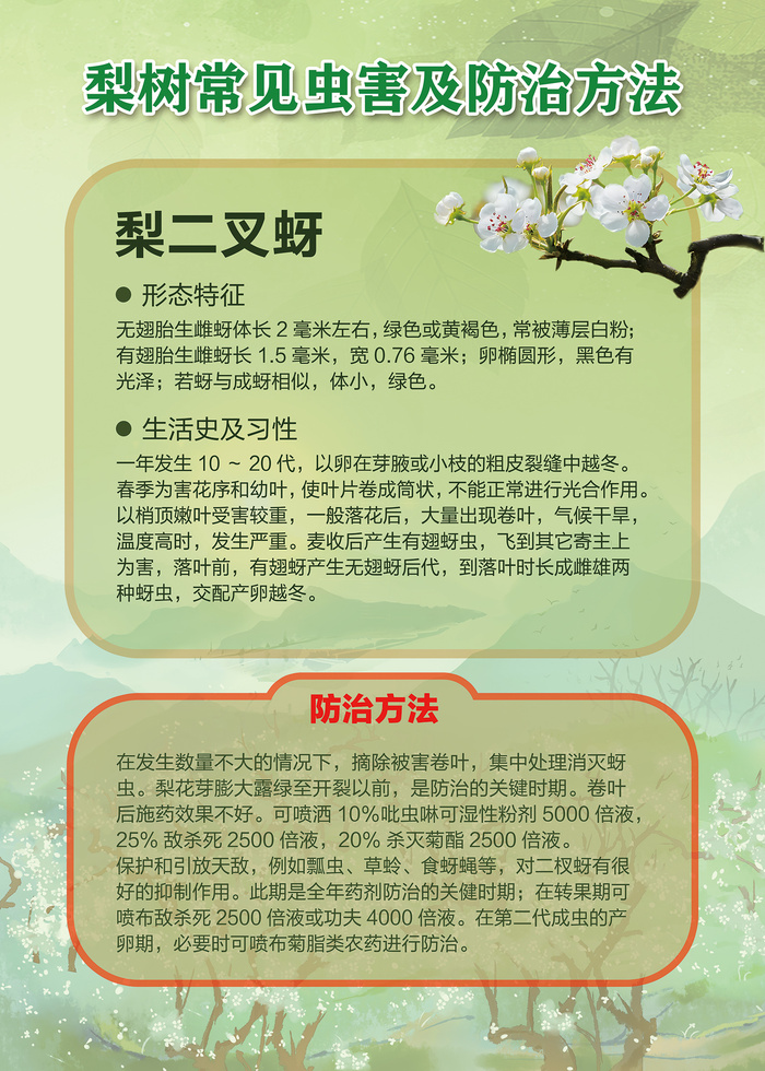 梨树常见虫害及防治方法海报